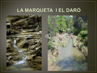 LA MARQUETA  I EL DARÓ