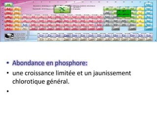 Les engrais phosphatés
• Phosphates naturels
– Phosphate naturel tendre (P2O5 >
à 25 %)
– Phosphate naturel solubilisé
(P2...