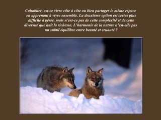 Cohabiter, est-ce vivre côte à côte ou bien partager le même espace  en apprenant à vivre ensemble. La deuxième option est certes plus difficile à gérer, mais n’est-ce pas de cette complexité et de cette diversité que naît la richesse. L’harmonie de la nature n’est-elle pas  un subtil équilibre entre beauté et cruauté ? 