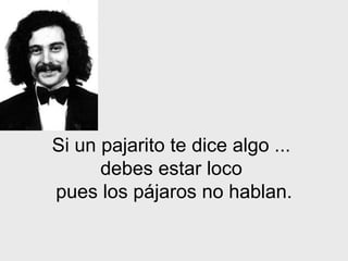 Si un pajarito te dice algo   ...  debes estar loco  pues los pájaros   no hablan. 