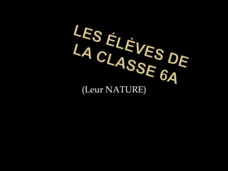 Les Élèves de la classe 6a (Leur NATURE) 