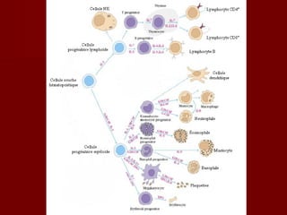 Les maladies du xxième siècle