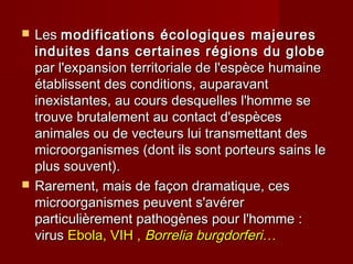  LesLes modifications écologiques majeuresmodifications écologiques majeures
induites dans certaines régions du globeinduites dans certaines régions du globe
par l'expansion territoriale de l'espèce humainepar l'expansion territoriale de l'espèce humaine
établissent des conditions, auparavantétablissent des conditions, auparavant
inexistantes, au cours desquelles l'homme seinexistantes, au cours desquelles l'homme se
trouve brutalement au contact d'espècestrouve brutalement au contact d'espèces
animales ou de vecteurs lui transmettant desanimales ou de vecteurs lui transmettant des
microorganismes (dont ils sont porteurs sains lemicroorganismes (dont ils sont porteurs sains le
plus souvent).plus souvent).
 Rarement, mais de façon dramatique, cesRarement, mais de façon dramatique, ces
microorganismes peuvent s'avérermicroorganismes peuvent s'avérer
particulièrement pathogènes pour l'homme :particulièrement pathogènes pour l'homme :
virusvirus Ebola, VIH ,Ebola, VIH , BorreliaBorrelia burgdorferiburgdorferi……
 