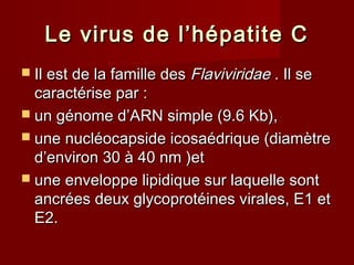 Le virus de l’hépatite CLe virus de l’hépatite C
 Il est de la famille desIl est de la famille des FlaviviridaeFlaviviridae . Il se. Il se
caractérise par :caractérise par :
 un génome d’ARN simple (9.6 Kb),un génome d’ARN simple (9.6 Kb),
 une nucléocapside icosaédrique (diamètreune nucléocapside icosaédrique (diamètre
d’environ 30 à 40 nm )etd’environ 30 à 40 nm )et
 une enveloppe lipidique sur laquelle sontune enveloppe lipidique sur laquelle sont
ancrées deux glycoprotéines virales, E1 etancrées deux glycoprotéines virales, E1 et
E2.E2.
 