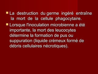  La destruction du germe ingéré entraîneLa destruction du germe ingéré entraîne
la mort de la cellule phagocytaire.la mort de la cellule phagocytaire.
 Lorsque l'inoculation microbienne a étéLorsque l'inoculation microbienne a été
importante, la mort des leucocytesimportante, la mort des leucocytes
détermine la formation de pus oudétermine la formation de pus ou
suppuration (liquide crémeux formé desuppuration (liquide crémeux formé de
débris cellulaires nécrotiques).débris cellulaires nécrotiques).
 