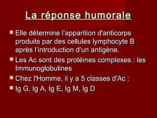 La réponse humoraleLa réponse humorale
 Elle détermine l’apparition d'anticorpsElle détermine l’apparition d'anticorps
produits par des cellules lymphocyte Bproduits par des cellules lymphocyte B
après l’introduction d'un antigène.après l’introduction d'un antigène.
 Les Ac sont des protéines complexes : lesLes Ac sont des protéines complexes : les
ImmunoglobulinesImmunoglobulines
 Chez l'Homme, il y a 5 classes d'Ac :Chez l'Homme, il y a 5 classes d'Ac :
 Ig G, Ig A, Ig E, Ig M, Ig DIg G, Ig A, Ig E, Ig M, Ig D
 