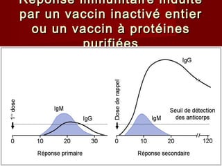 Réponse immunitaire induiteRéponse immunitaire induite
par un vaccin inactivé entierpar un vaccin inactivé entier
ou un vaccin à protéinesou un vaccin à protéines
purifiéespurifiées
 