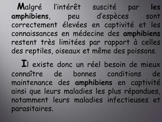Malgré

l’intérêt
suscité
par
les
amphibiens,
peu
d’espèces
sont
correctement élevées en captivité et les
connaissances en médecine des amphibiens
restent très limitées par rapport à celles
des reptiles, oiseaux et même des poissons.

Il

existe donc un réel besoin de mieux
connaître
de
bonnes
conditions
de
maintenance des amphibiens en captivité
ainsi que leurs maladies les plus répandues,
notamment leurs maladies infectieuses et
parasitaires.

 