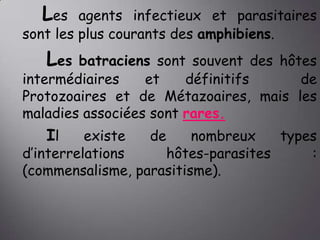 Les

agents infectieux et parasitaires
sont les plus courants des amphibiens.

Les

batraciens sont souvent des hôtes
intermédiaires
et
définitifs
de
Protozoaires et de Métazoaires, mais les
maladies associées sont rares.

Il

existe
de
nombreux
types
d’interrelations
hôtes-parasites
:
(commensalisme, parasitisme).

 