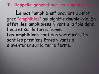 Le mot "amphibien" provient du mot

grec "amphibios" qui signifie double-vie. En
effet, les amphibiens vivent à la fois dans
l'eau et sur la terre ferme.
Les amphibiens sont des vertébrés, Ils
sont les premiers êtres vivants à
s'aventurer sur la terre ferme.

 