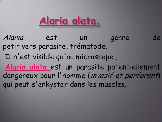 Les parasites du ver de terre
