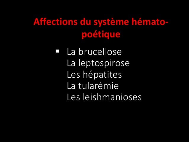 Les Maladies Transmissibles Ip
