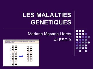LES MALALTIES GENÈTIQUES Mariona Masana Llorca 4t ESO A 