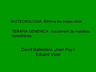 BIOTECNOLOGIA: Elimina les males olors David Ballestero ,Joan Puy i Eduard Vidal TERÀPIA GENÈNICA : tractament de malalties hereditàries. 