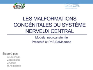LES MALFORMATIONS 
CONGÉNITALES DU SYSTÈME 
NERVEUX CENTRAL 
Élaboré par: 
A.Lguensat 
Z.Boudjafad 
Z.Omari 
H.Ait Belcaid 
Module: neuroanatomie 
Présenté à: Pr S.BaMhamad 
 