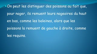 On peut les distinguer des poissons au fait que,
pour nager, ils remuent leurs nageoires du haut
en bas, comme les baleines, alors que les
poissons la remuent de gauche à droite, comme
les requins.
 