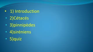 • 1) Introduction
• 2)Cétacés
• 3)pinnipèdes
• 4)siréniens
• 5)quiz
 