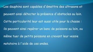  Les dauphins sont capables d'émettre des ultrasons et
peuvent ainsi détecter la présence d'obstacles au loin.
Cette particularité leur est aussi utile pour la chasse :
ils peuvent ainsi repérer un banc de poissons au loin, ou
même tuer de petits poissons en crevant leur vessie
natatoire à l'aide de ces ondes.
 