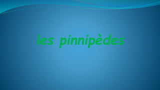 les pinnipèdes
 