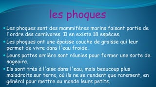 les phoques
 Les phoques sont des mammifères marins faisant partie de
l'ordre des carnivores. Il en existe 18 espèces.
 Les phoques ont une épaisse couche de graisse qui leur
permet de vivre dans l'eau froide.
 Leurs pattes arrière sont réunies pour former une sorte de
nageoire.
 Ils sont très à l'aise dans l'eau, mais beaucoup plus
maladroits sur terre, où ils ne se rendent que rarement, en
général pour mettre au monde leurs petits.
 