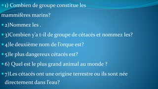 1) Combien de groupe constitue les
mammifères marins?
2)Nommez les .
3)Combien y’a t-il de groupe de cétacés et nommez les?
4)le deuxième nom de l’orque est?
5)le plus dangereux cétacés est?
6) Quel est le plus grand animal au monde ?
7)Les cétacés ont une origine terrestre ou ils sont née
directement dans l’eau?
 