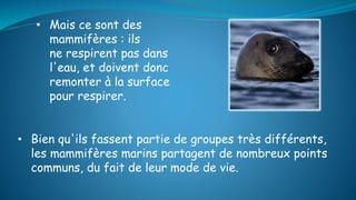 • Mais ce sont des
mammifères : ils
ne respirent pas dans
l'eau, et doivent donc
remonter à la surface
pour respirer.
• Bien qu'ils fassent partie de groupes très différents,
les mammifères marins partagent de nombreux points
communs, du fait de leur mode de vie.
 