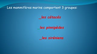 Les mammifères marins comportent 3 groupes:
_les cétacés
_les pinnipèdes
_les siréniens
 