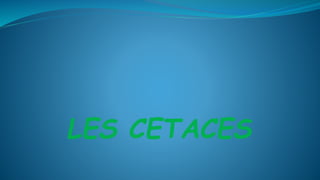 LES CETACES
 