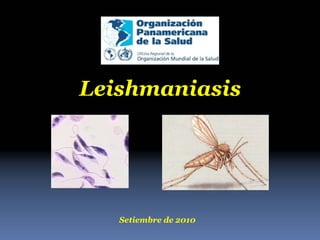 Leishmaniasis

Setiembre de 2010

 