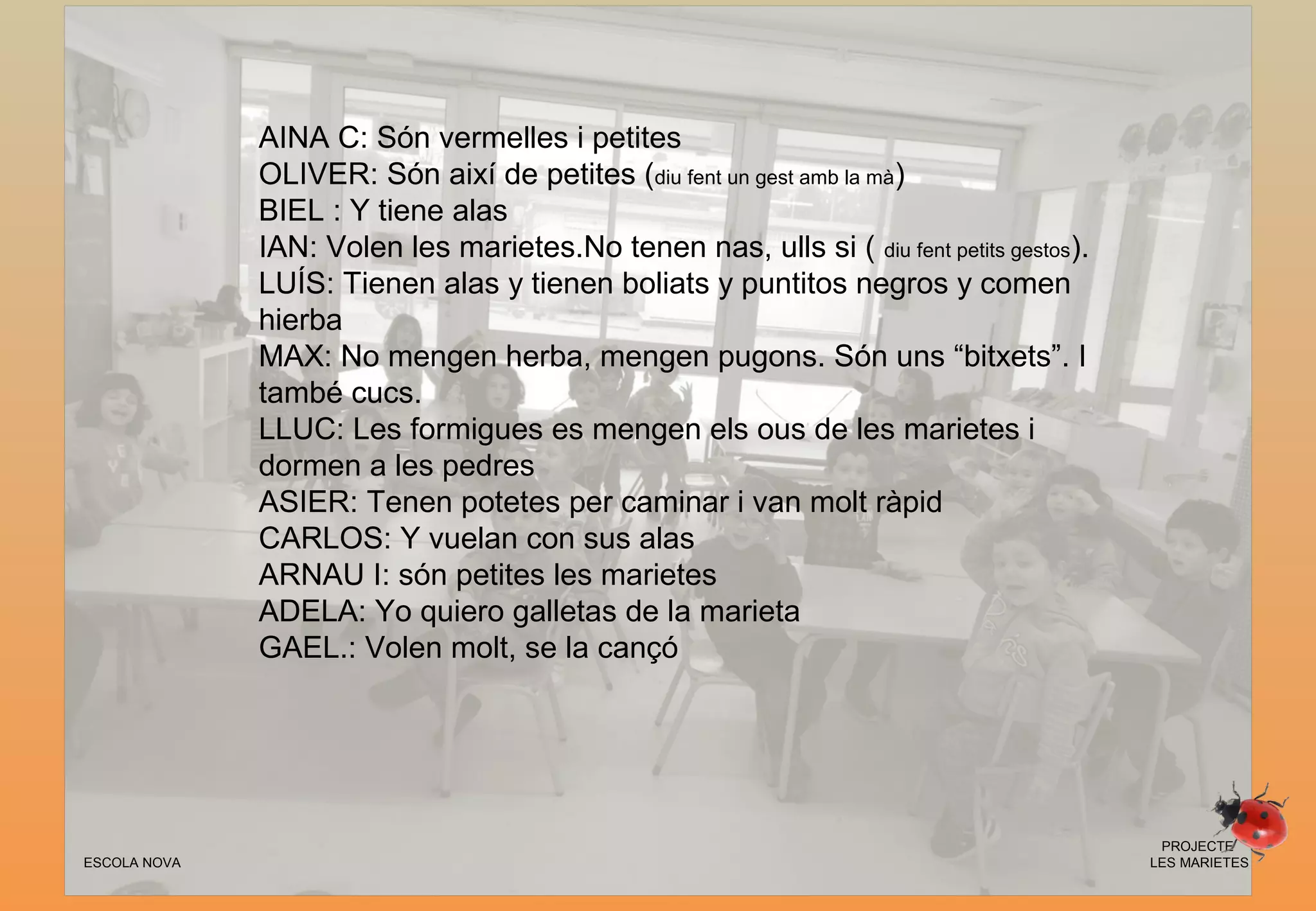 ESCOLA NOVA
PROJECTE
LES MARIETES
AINA C: Són vermelles i petites
OLIVER: Són així de petites (diu fent un gest amb la mà)
BIEL : Y tiene alas
IAN: Volen les marietes.No tenen nas, ulls si ( diu fent petits gestos).
LUÍS: Tienen alas y tienen boliats y puntitos negros y comen
hierba
MAX: No mengen herba, mengen pugons. Són uns “bitxets”. I
també cucs.
LLUC: Les formigues es mengen els ous de les marietes i
dormen a les pedres
ASIER: Tenen potetes per caminar i van molt ràpid
CARLOS: Y vuelan con sus alas
ARNAU I: són petites les marietes
ADELA: Yo quiero galletas de la marieta
GAEL.: Volen molt, se la cançó
 