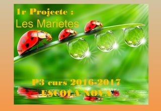 1r Projecte :
Les Marietes
P3 curs 2016-2017
ESCOLA NOVA
 