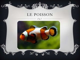 LE POISSON
 