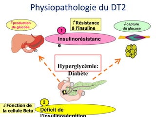  capture
du glucose
 production
de glucose
Insulinorésistanc
e
Hyperglycémie:
Diabète
1
2
Déficit de
 Résistance
à l’insuline
 Fonction de
la cellule Beta
Physiopathologie du DT2
 