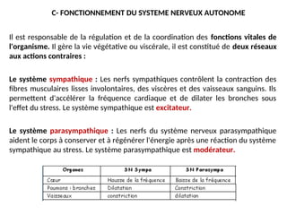 C- FONCTIONNEMENT DU SYSTEME NERVEUX AUTONOME
Il est responsable de la régulation et de la coordination des fonctions vitales de
l'organisme. Il gère la vie végétative ou viscérale, il est constitué de deux réseaux
aux actions contraires :
Le système sympathique : Les nerfs sympathiques contrôlent la contraction des
fibres musculaires lisses involontaires, des viscères et des vaisseaux sanguins. Ils
permettent d'accélérer la fréquence cardiaque et de dilater les bronches sous
l'effet du stress. Le système sympathique est excitateur.
Le système parasympathique : Les nerfs du système nerveux parasympathique
aident le corps à conserver et à régénérer l'énergie après une réaction du système
sympathique au stress. Le système parasympathique est modérateur.
 