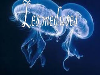 Les medusesLes meduses
 