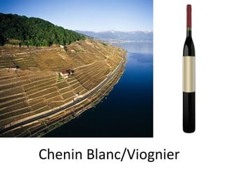 Chenin Blanc/Viognier