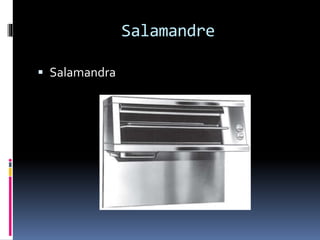 Salamandre
Salamandra