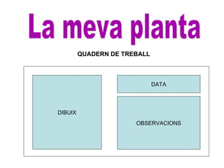 QUADERN DE TREBALL
DIBUIX
DATA
OBSERVACIONS
 