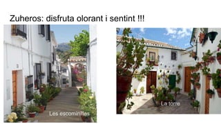 Zuheros: disfruta olorant i sentint !!!
Les escominillas
La torre