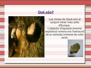 Què són?Què són?
Les mines de Gavà són el
conjunt miner més antic
d'Europa.
L'objectiu d'aquesta enorme
explotació minera era l'extracció
de la variscita (mineral de color
verd).
 