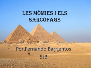 Les mòmies i els
sarcòfags

Por Fernando Barrientos
5tB

 