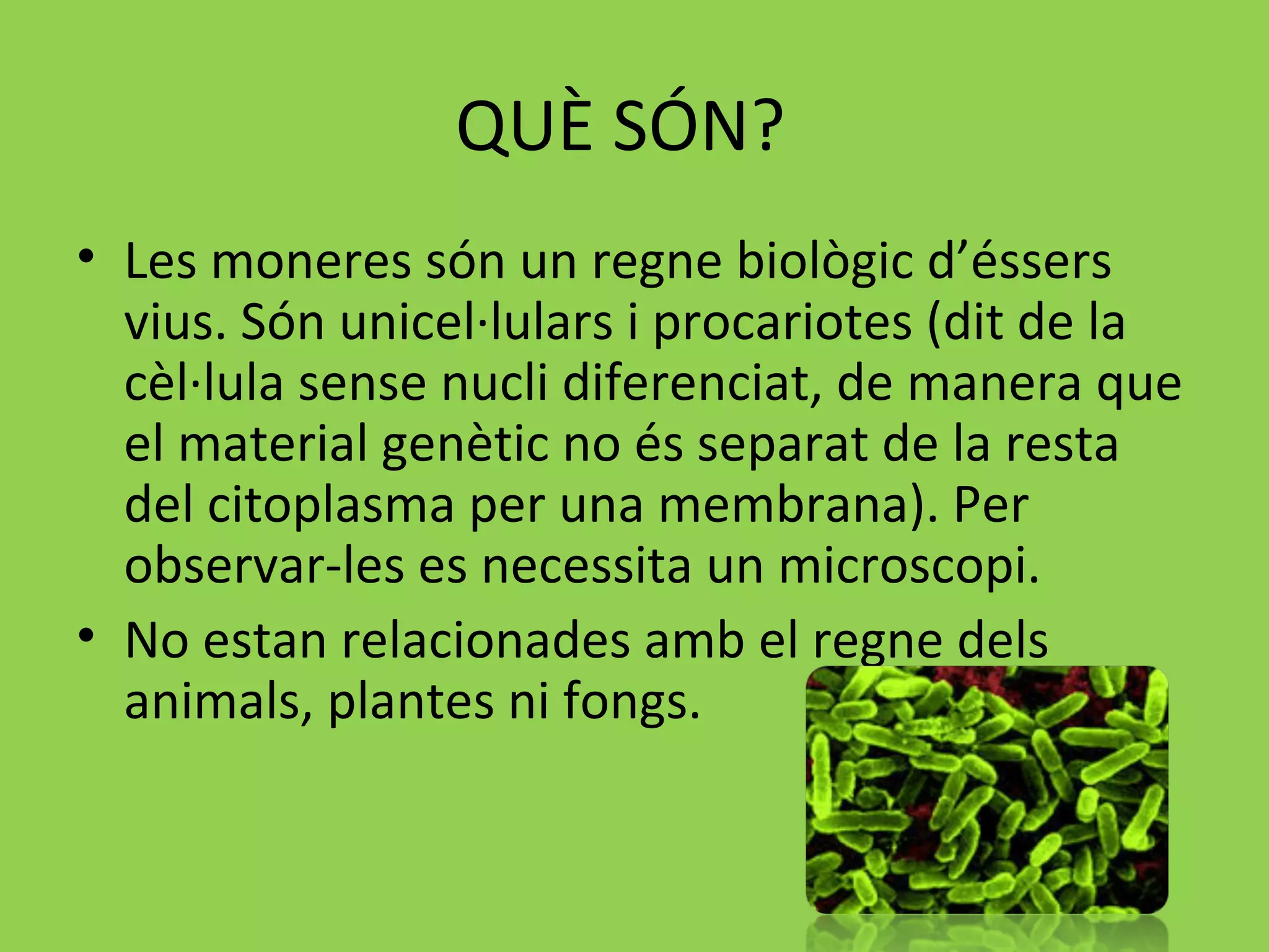 Les moneres | PPT