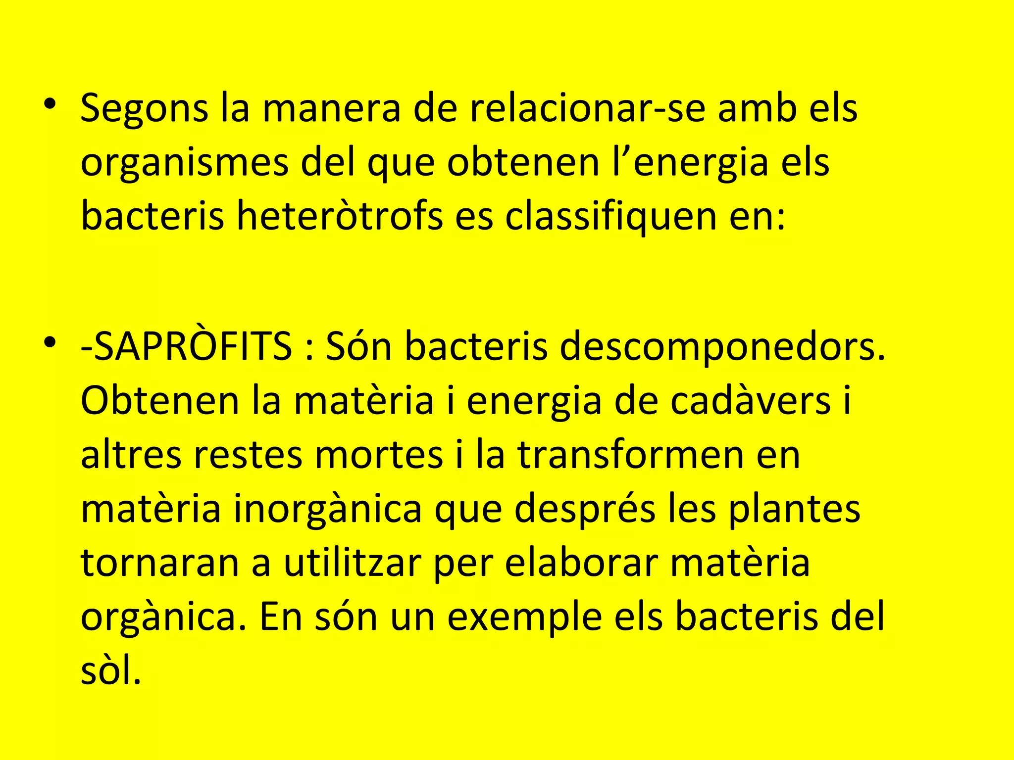 Les moneres | PPT