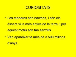 CURIOSITATS
• Les moneres són bacteris, i són els
éssers vius més antics de la terra, i per
aquest motiu són tan senzills.
• Van aparèixer fa més de 3.500 milions
d’anys.

 