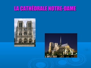 LA CATHÉDRALE NOTRE-DAME
 