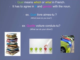 Quel means which or what in French.
It has to agree in # and gender with the noun.
ex. Quel livre aimes-tu ?
(Which book do you love?)
ex. Quelle voiture conduis-tu?
(What car do your drive?)