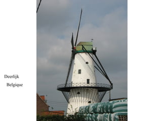 Deerlijk
Belgique
 