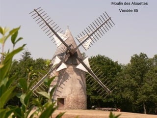 Moulin des Alouettes
Vendée 85
 