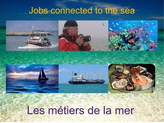Jobs connected to the sea




Les métiers de la mer
 