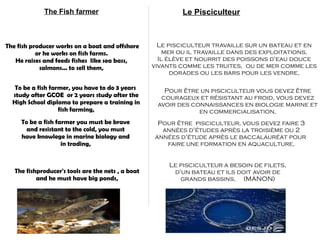 The Fish farmer                                 Le Pisciculteur



The fish producer works on a boat and offshore        Le pisciculteur travaille sur un bateau et en
           or he works on fish farms.                   mer ou il travaille dans des exploitations,
   He raises and feeds fishes like sea bass,          Il élève et nourrit des poissons d'eau douce
            salmons... to sell them,                vivants comme les truites, ou de mer comme les
                                                          dorades ou les bars pour les vendre,

   To be a fish farmer, you have to do 3 years         Pour être un pisciculteur vous devez être
  study after GCOE or 2 years study after the         courageux et résistant au froid, vous devez
  High School diploma to prepare a training in       avoir des connaissances en biologie marine et
                   fish farming,                                 en commercialisation,
     To be a fish farmer you must be brave           Pour être pisciculteur, vous devez faire 3
       and resistant to the cold, you must            années d'études après la troisième ou 2
     have knowlege in marine biology and            années d'étude après le baccalauréat pour
                    in trading,                        faire une formation en aquaculture,


                                                         Le pisciculteur a besoin de filets,
   The fishproducer's tools are the nets , a boat         d'un bateau et ils doit avoir de
           and he must have big ponds,                      grands bassins, (MANON)
 